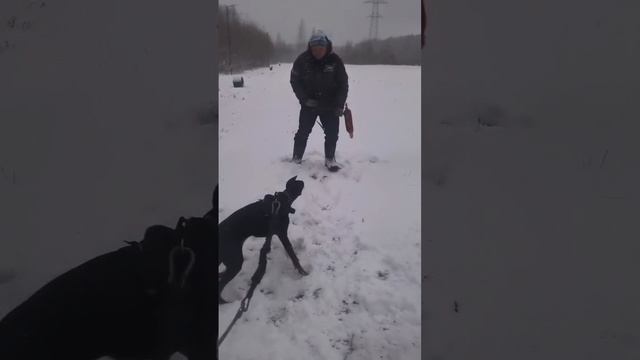 scene_output.mp4