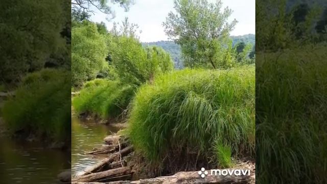 Водоемы Павловки с Серебряной водой! Сюжет клиента нашей компании Раи Ц.