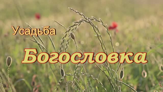 Усадьба Богословка