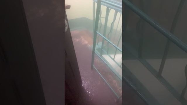 💦Утро в Полольске на улице Западная, 9, началась с горячего душа: подъезд затопило кипятком💦
