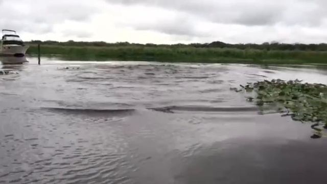 Покупались бы в этом озере?