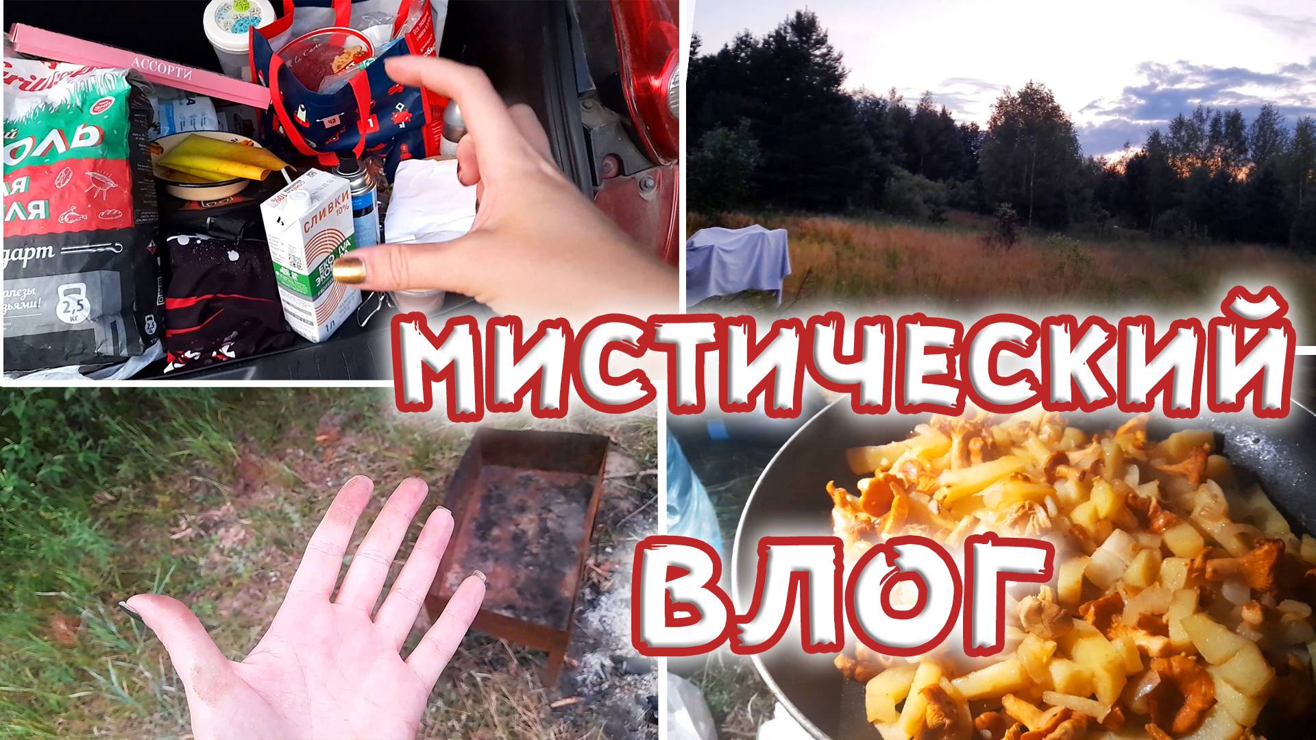 Влог: Что тут происходит ?! Мистика и Аномалия в лесу / Картошка с лисичками в походе