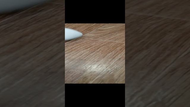 VID_20241115_174428.mp4