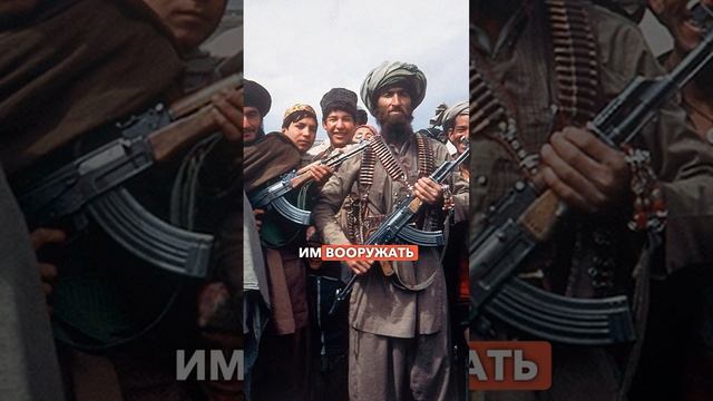 Факты о конфликте в Афгане