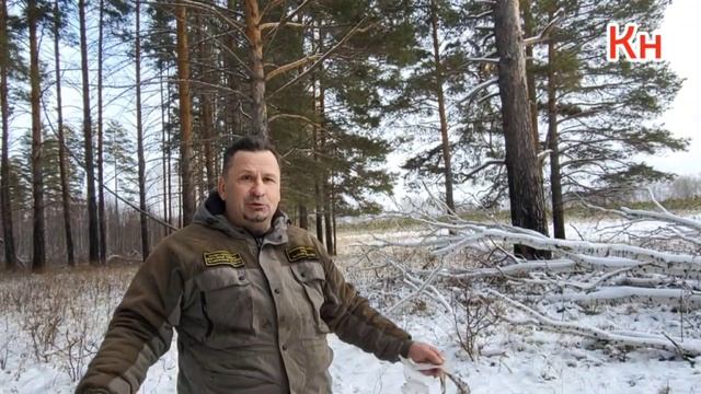 Зимнее волшебство 🌲 Анненского заказника