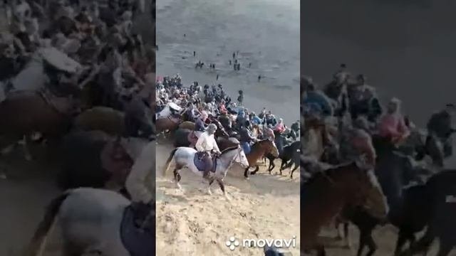 бузи калон дар каримиисмоил  човандоз  Аюб бз кард