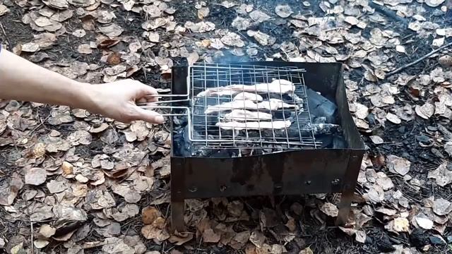 ШКВАРКИ ИЗ БАРАНИНЫ НА УГЛЯХ