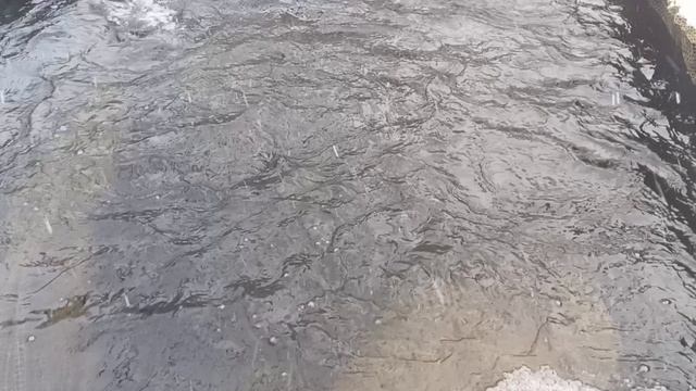 1000018492.mp4