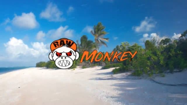 Sash! - Ecuador (Raw Hardstyle Cover By Varmint) [MONKEY TEMPO]