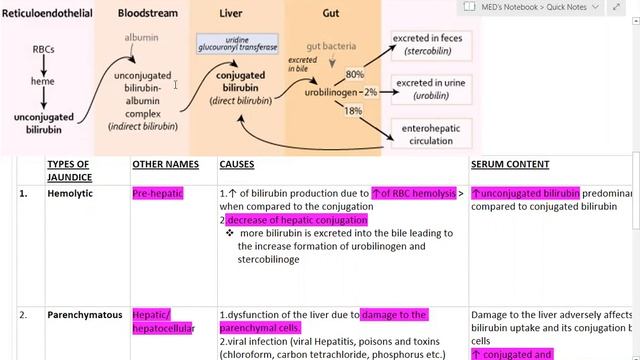 Jaundice (all types & mechanism)