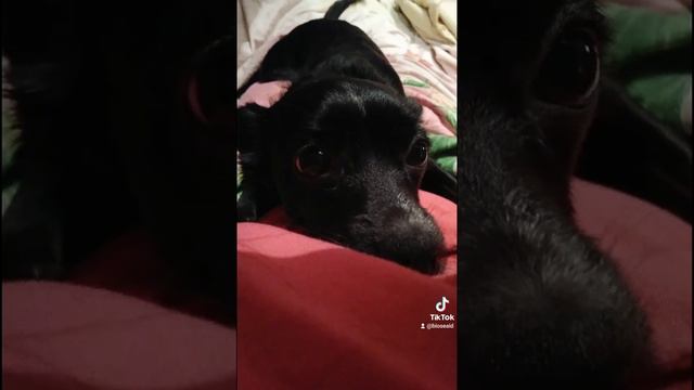 #люблютебя