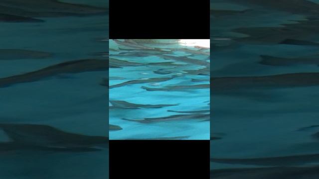 Экоферма “Форель”