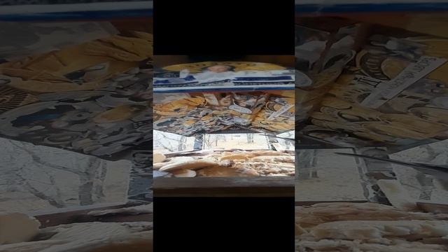 1000032580.mp4жизнь кормушки.15.11.2024г.