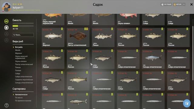 ТРОФЕЙНЫЙ ПАЛТУС НА МОРЕ И АКТУАЛЬНЫЕ ТОЧКИ ДЛЯ МОРСКОГО ФАРМА РУССКАЯ РЫБАЛКА 4 РР4