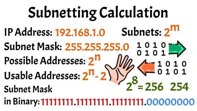 Subnetting Explained: Networking Basics