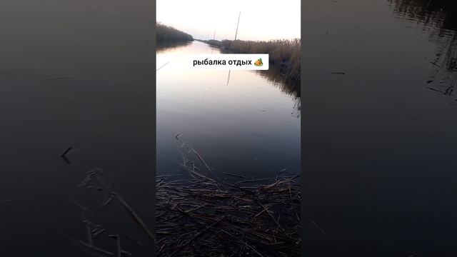 Рыбалка и отдых