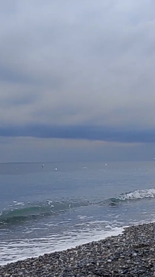 Море, чайки #море #природа #шумморя #василисаголд #шортс