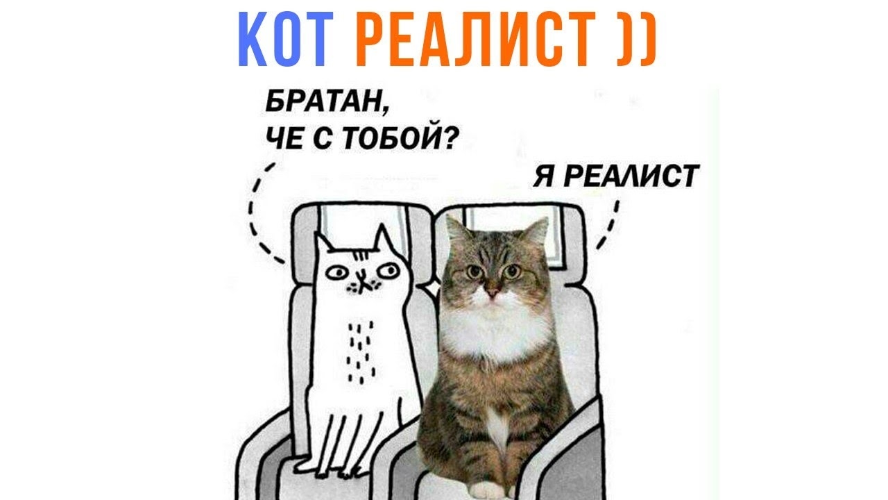 📹 КОТ РЕАЛИСТ ))) | Приколы с котами | Мемозг 1519
👤 #Alexey_Sova