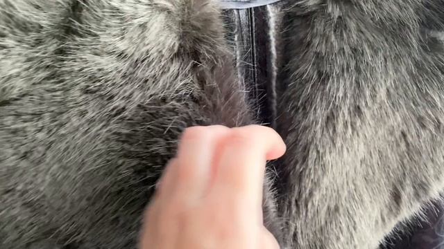 Дубленка