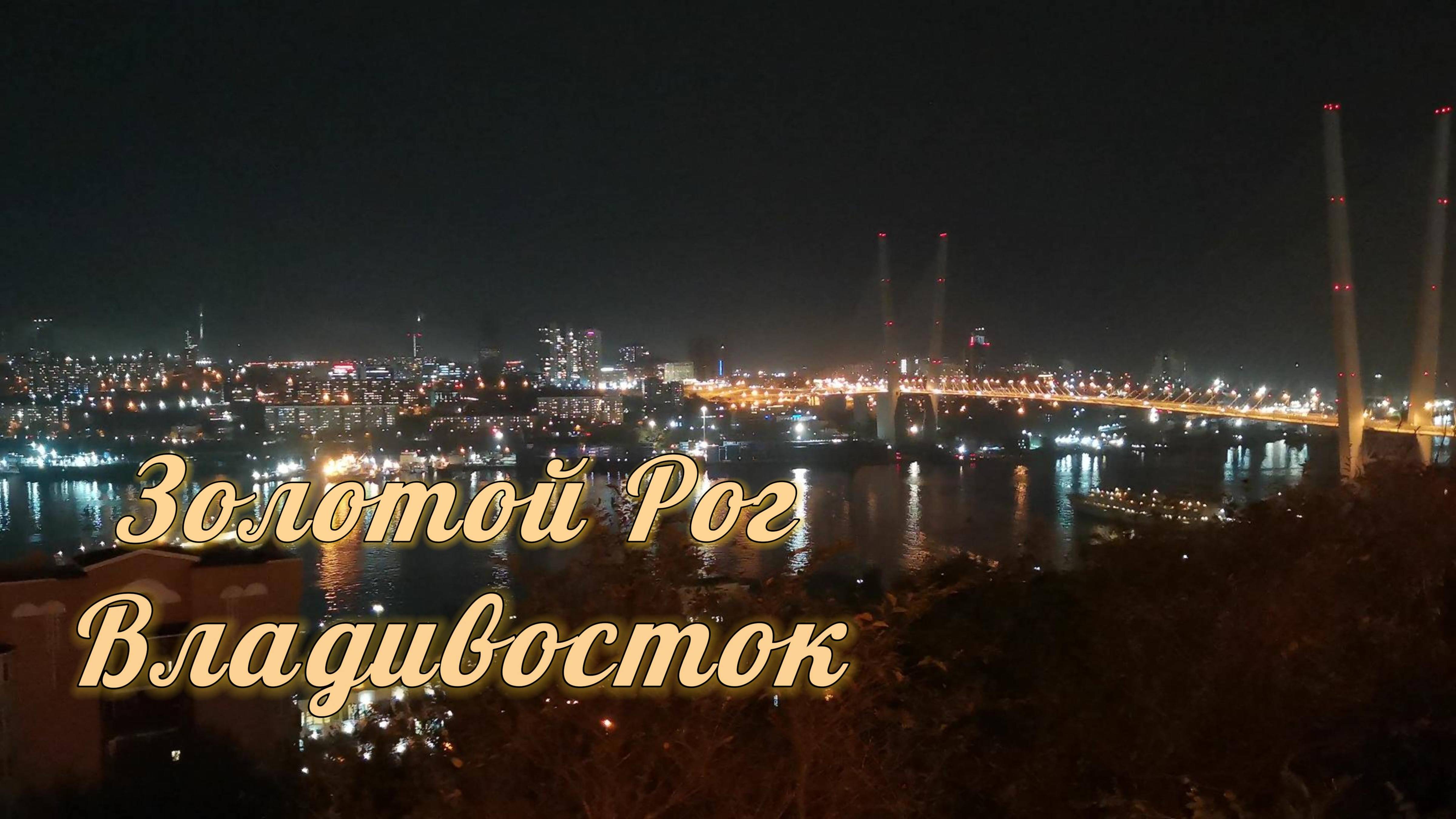 Ночной вид на бухту Золотой Рог во Владивостоке