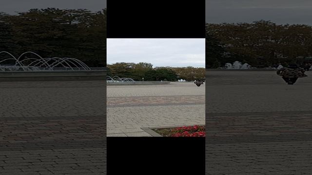 Анапа 15.11.2924.. Фонтаны работают.