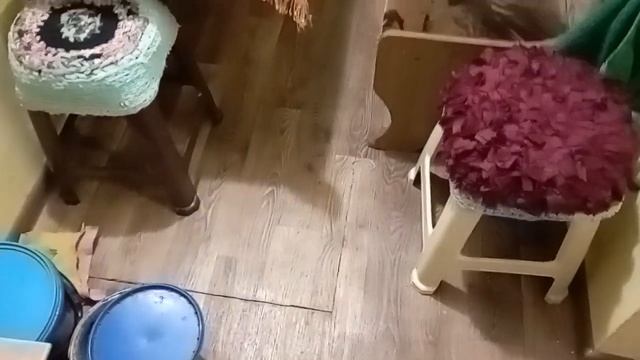 Центр Музей Универсологии. Знакомство с хранителями Аллой Сидельниковой и Оксаной Русиной.