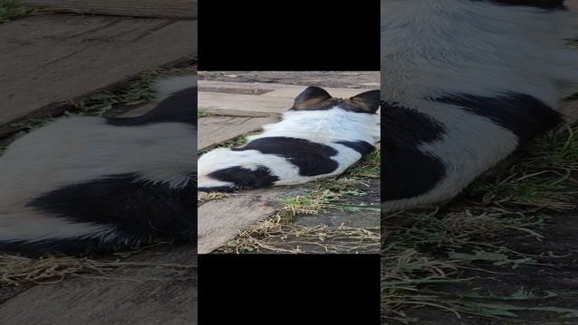 1000004735.mp4