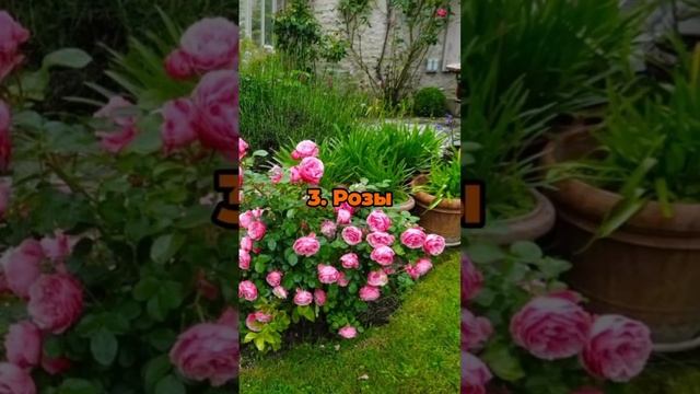 Системы автополива становятся всё более популярными, и это не случайно! Они позволяют экономить в...