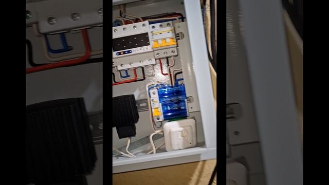 1000007394.mp4 (Собака смотрит на вариант электроснабжения дома А-фрейм)