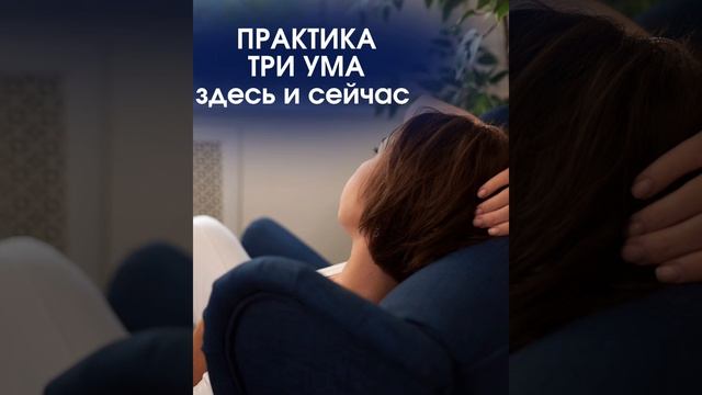 Практика ТРИ УМА. Здесь и сейчас