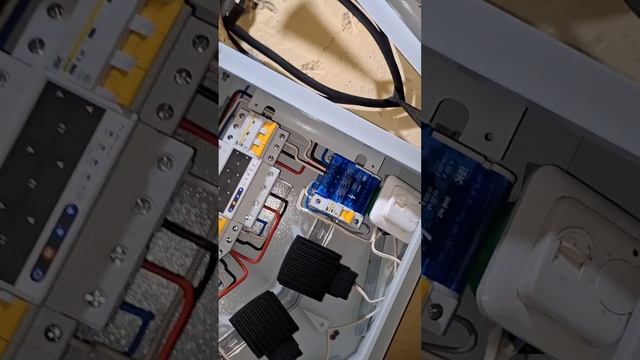 1000007403.mp4 (Собака смотрит на вариант электроснабжения дома А-фрейм)