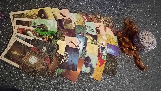 VID_20241115_123141.mp4