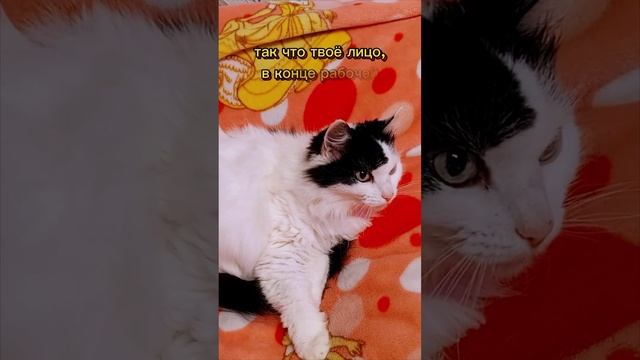 труд облагораживает