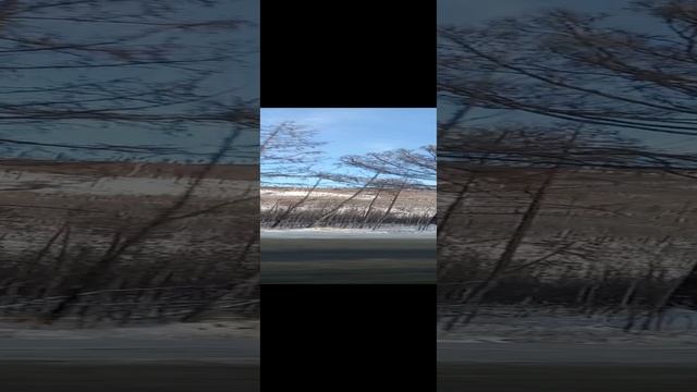 Чита!