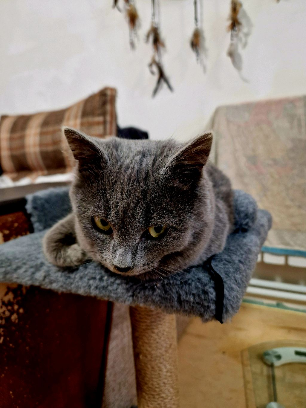 Вечерняя болтовня