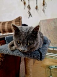 Вечерняя болтовня