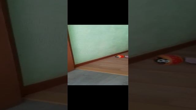 1000022318.mp4
