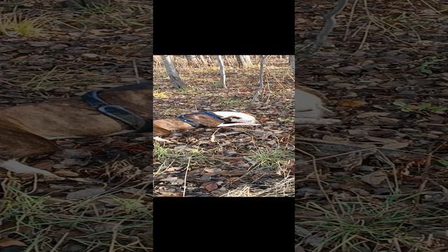 1000055104.mp4