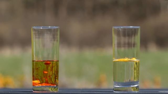 BioActivo Q10 100mg - Quality