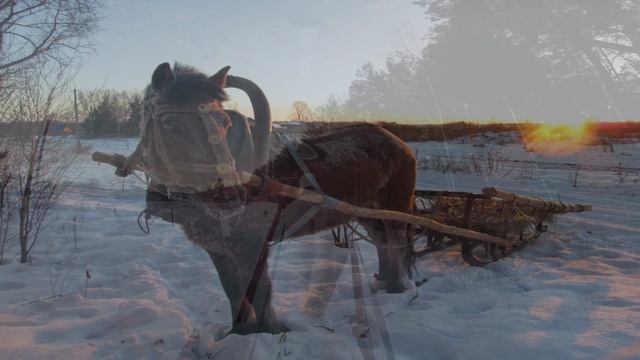 Колокольчик (С. Есенин)