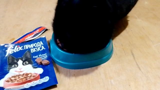 "felix" корм для кошек- говядина