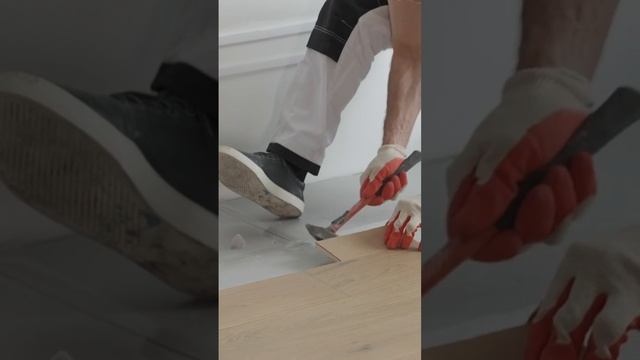 Бренд экологичных напольных покрытий из дерева Living Tree стал участником телепередачи на НТВ.