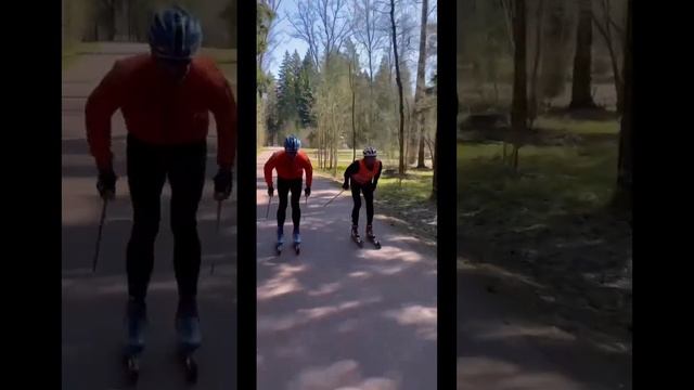 Сезон лыжероллеров запущен! #rollerski #лыжероллеры #лыжи