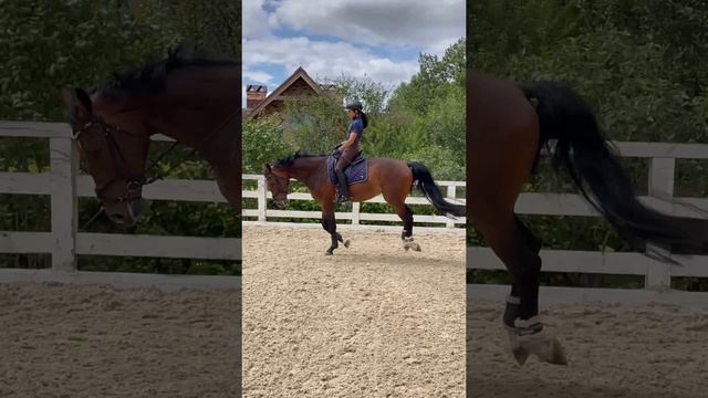 Гоал🐴💥💣