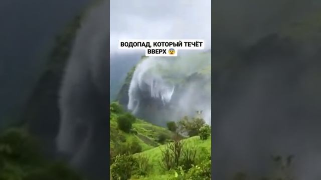 Удивительные факты мира, от Марины Колесник, развитие нестандартного мышления. Мир Универсологии