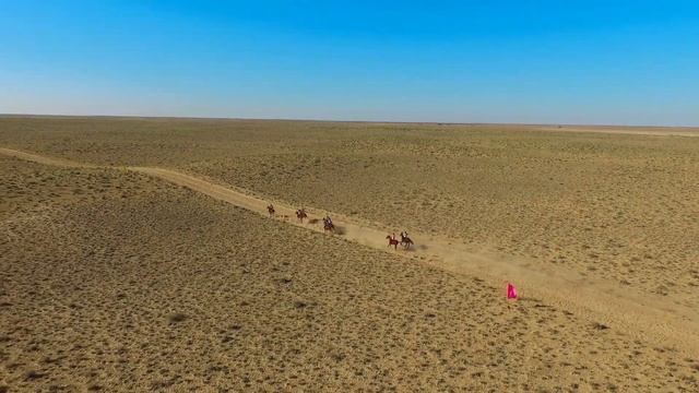 Атжарыс Казалы ауданы 2021жыл.Тай байге Кунан байге Ток байге Аламан байге