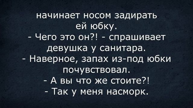 Сборник анектодов: Вовочка и самое сексуальное насекомое...
#Юмор
#Анекдоты