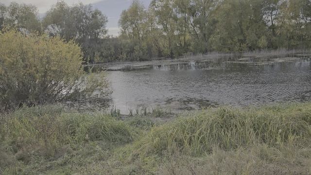 1000035846.mp4