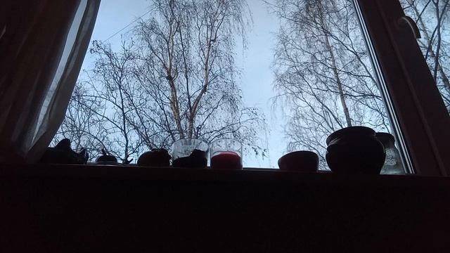 VID_20241115_154857.mp4