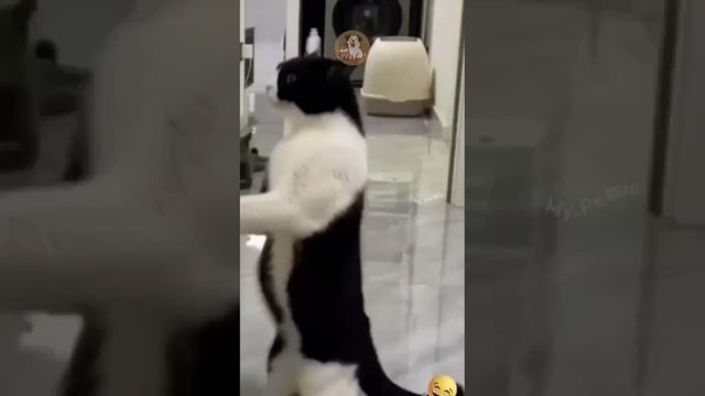 Необычная свадьба